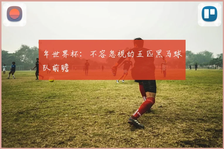 年世界杯：不容忽视的五匹黑马球队前瞻