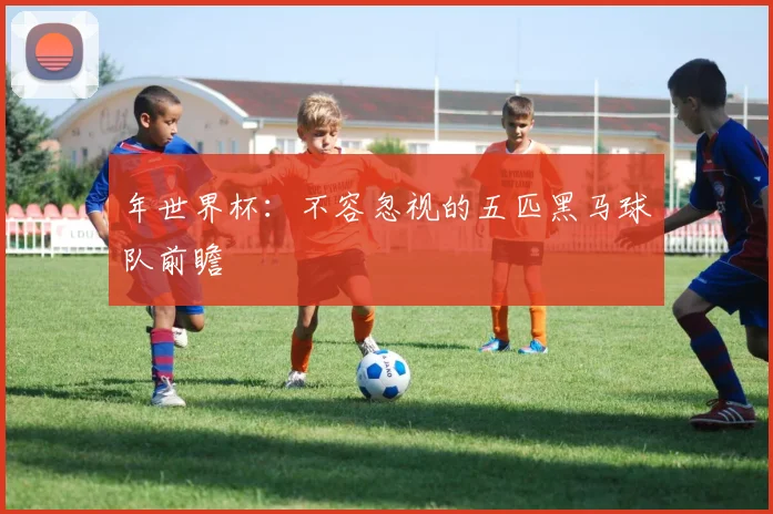 年世界杯：不容忽视的五匹黑马球队前瞻